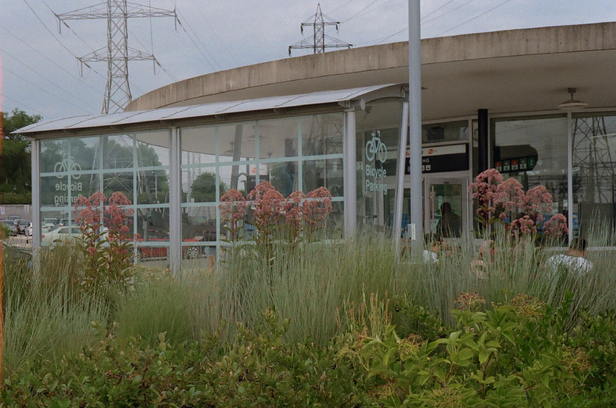 The arched roof of a Victorian-style greenhouse, its glass and metal structure catching the sunlight.
