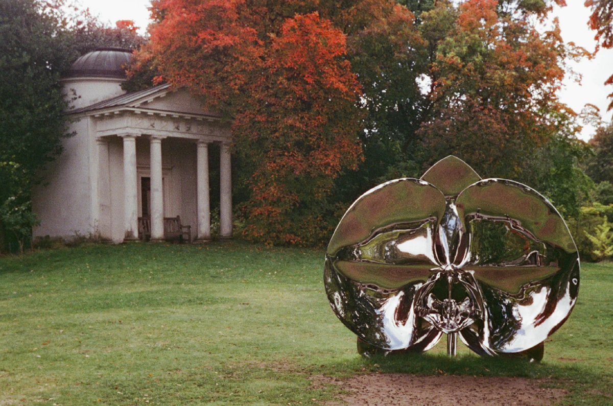 A large, polished metallic sculpture with an organic shape sits on a grassy lawn, autumn leaves glowing in the background.