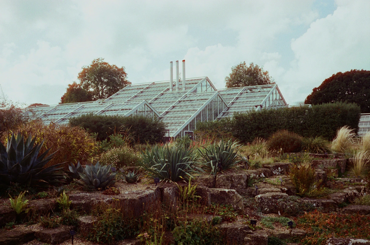 A series of interconnected glasshouses with slanted roofs, surrounded by dryland plants and shrubs.