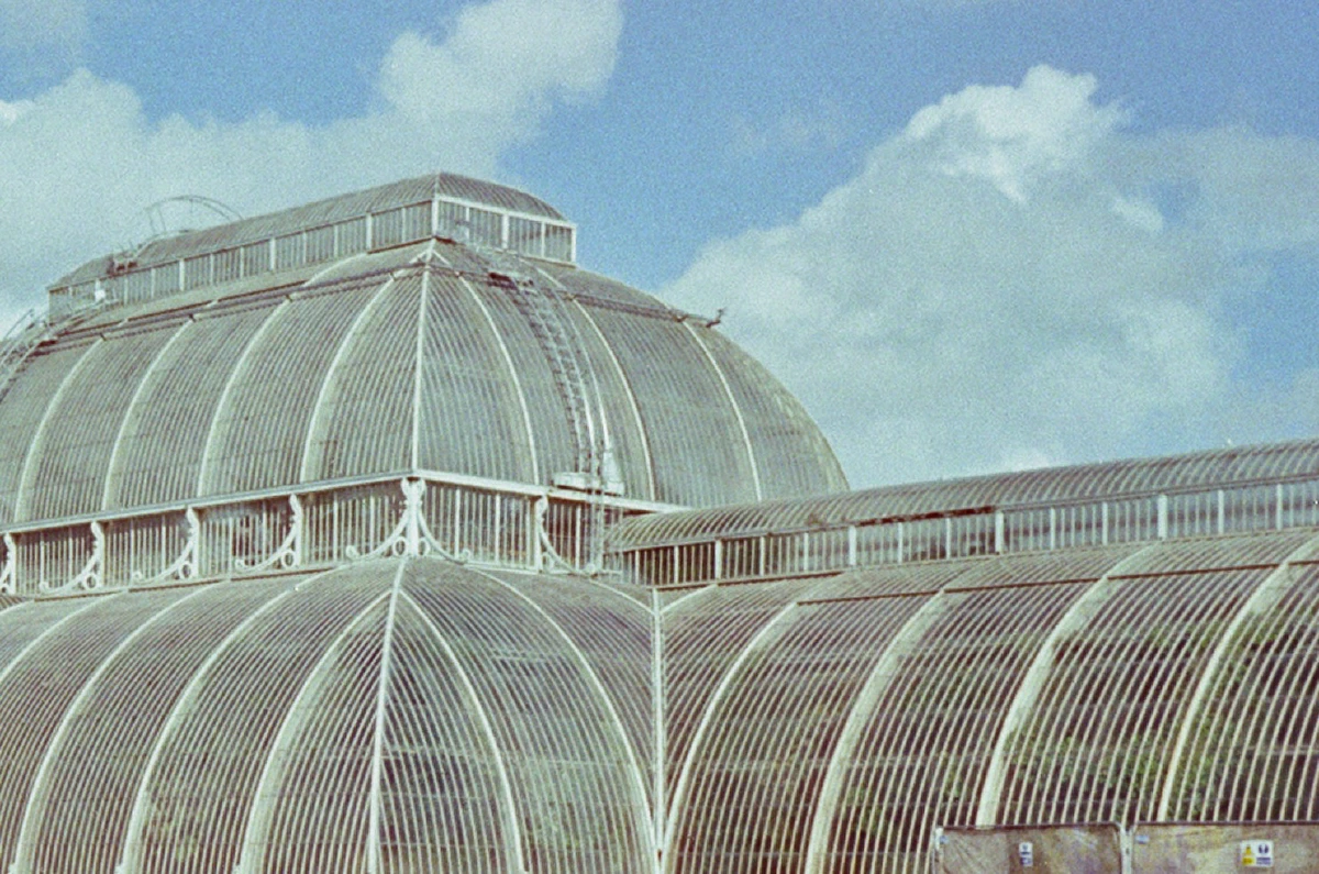 The arched roof of a Victorian-style greenhouse, its glass and metal structure catching the sunlight.