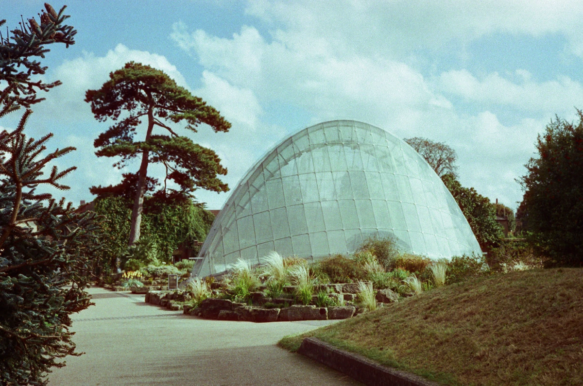 A domed glass greenhouse with a curved roof, surrounded by greenery under a bright sky.