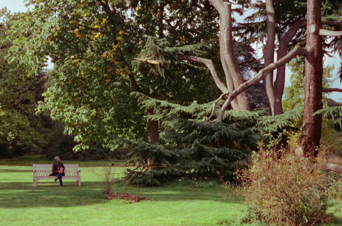 My mom sitting alone on a wooden bench in a vast garden, surrounded by trees with autumn leaves.