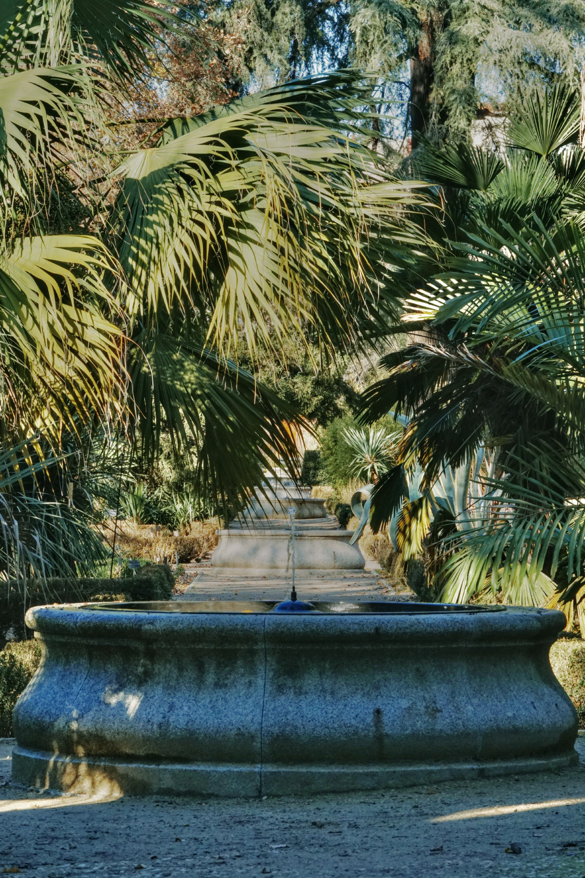 A stone fountain surrounded by lush green palm fronds, leading to a tranquil garden pathway.