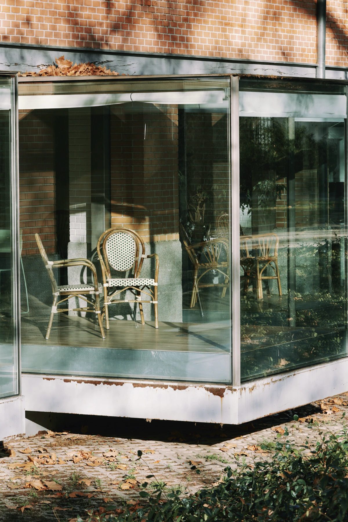 A glass-walled corner with sunlight streaming in, revealing wicker chairs and scattered autumn leaves outside.