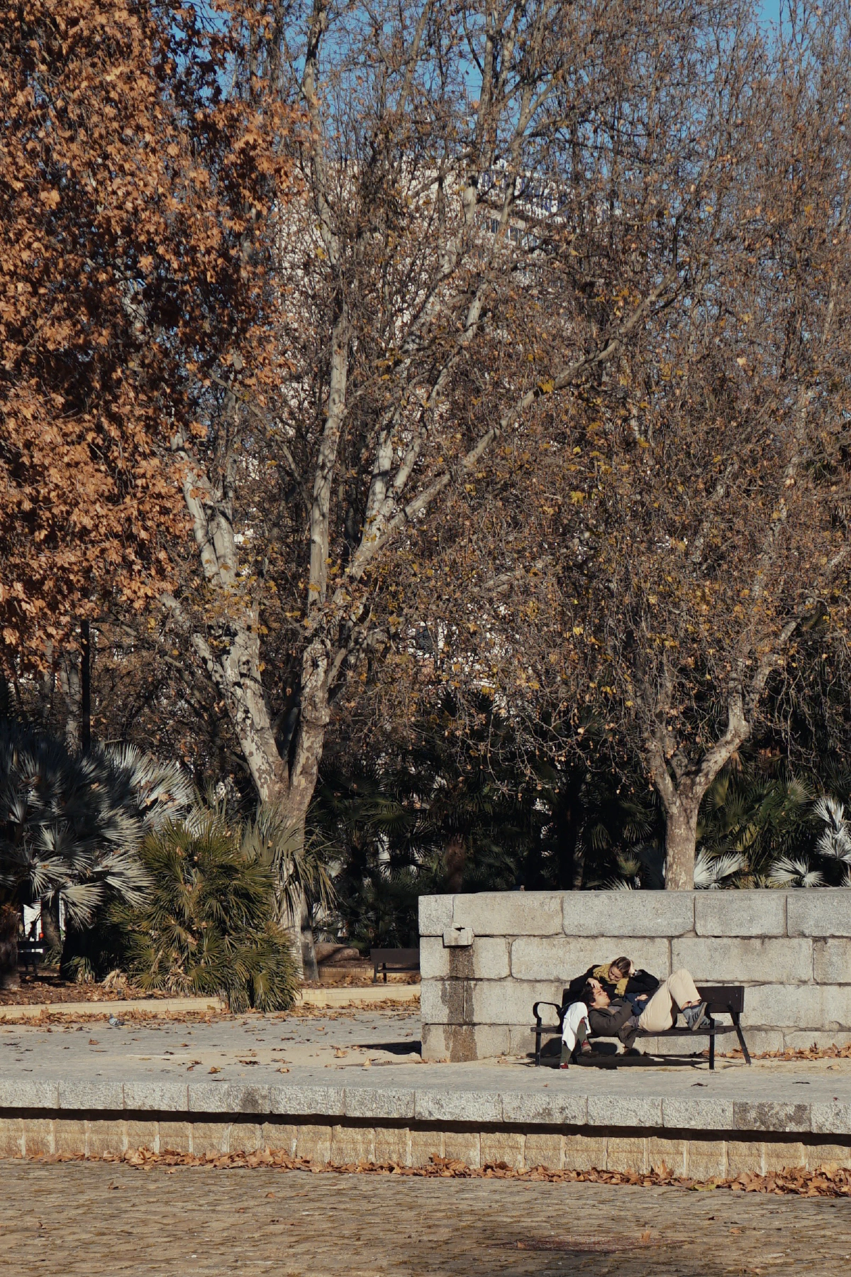 A couple sitting closely together on a stone bench surrounded by bare winter trees in a park.