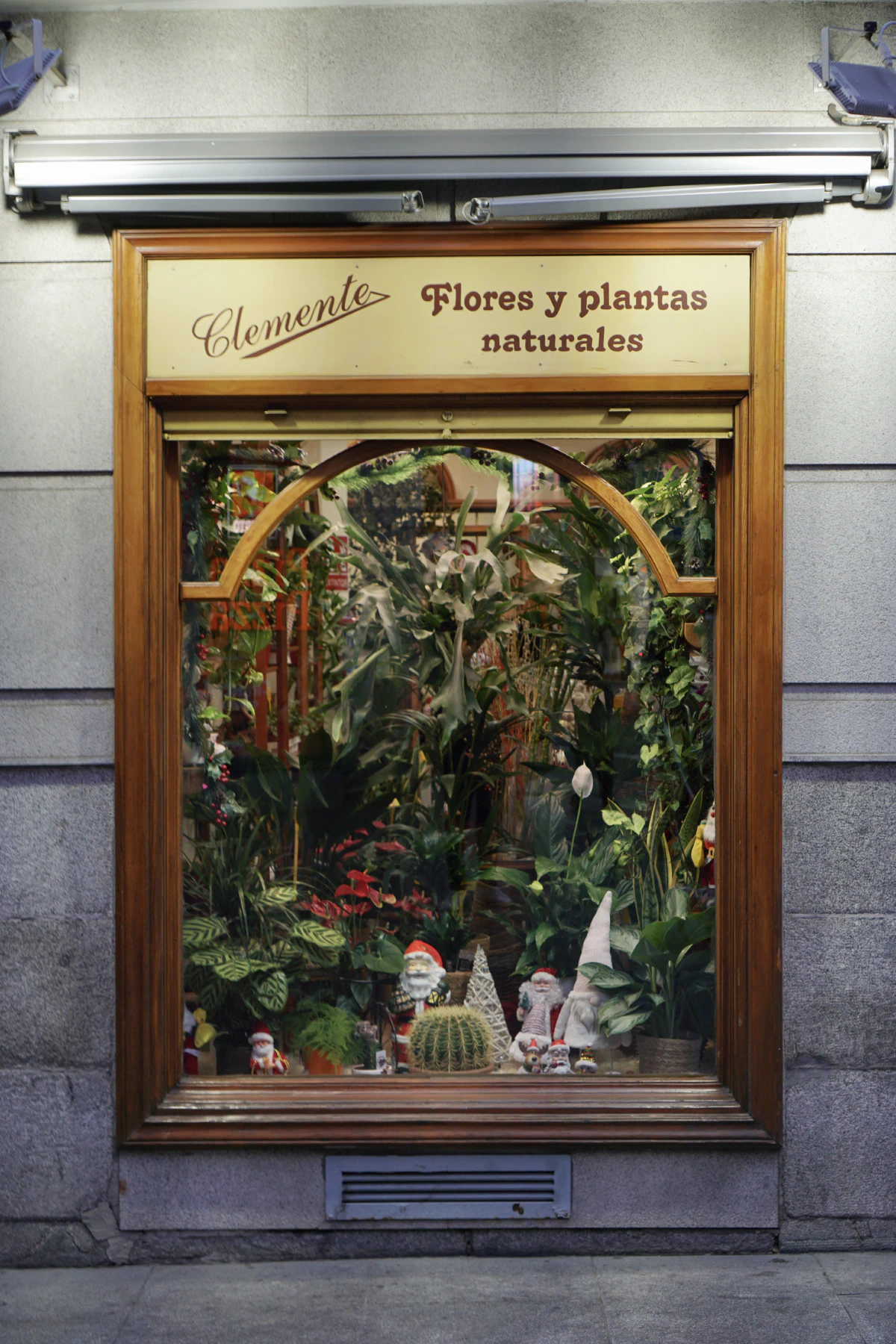 A vibrant floral shop window displaying natural flowers, plants, and festive holiday decorations with Santa figurines.
