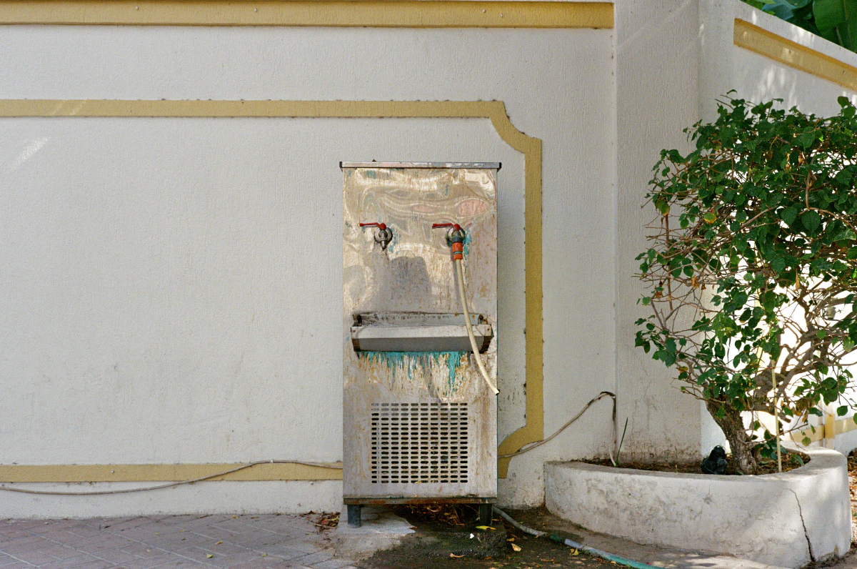 An old stainless steel water dispenser with two taps and a hose, set against a white wall with yellow trim, next to a small bush in a corner.