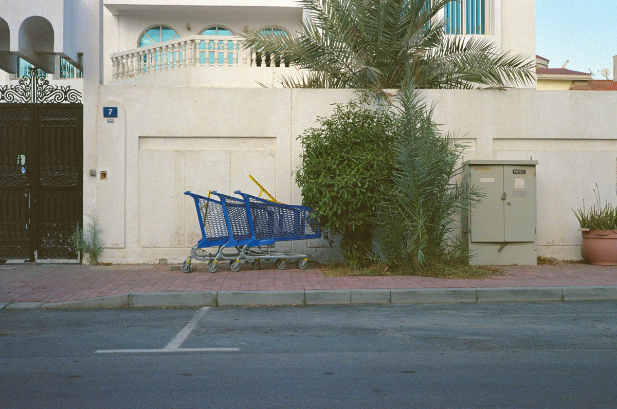 Blue shopping carts stacked together on a sidewalk in front of a white wall, with palm trees and bushes nearby.