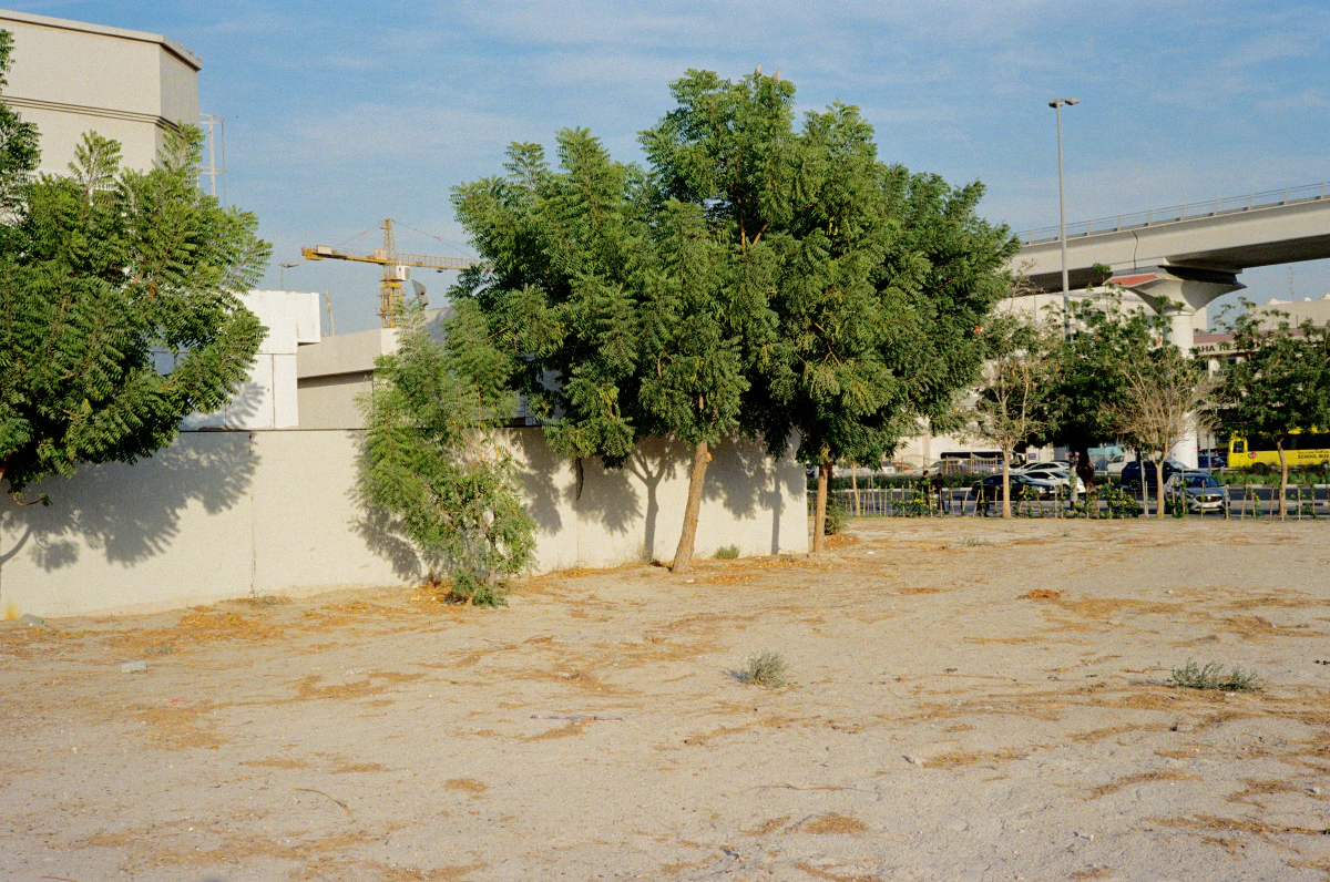 A sandy lot with scattered trees in front of a white wall, buildings, and an elevated metro line, with a construction crane visible in the background under a blue sky.