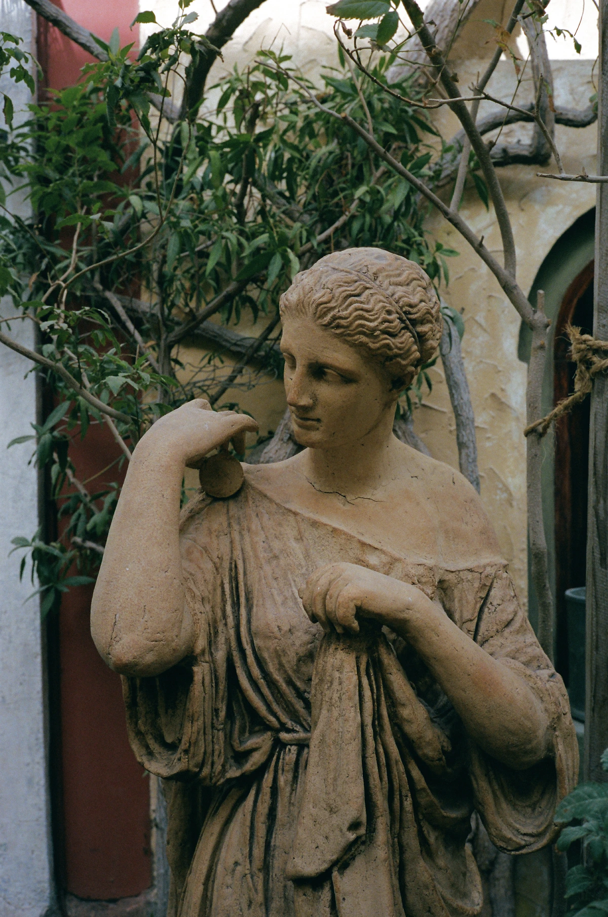 A weathered stone statue of a woman draped in flowing robes, holding a circular object near her shoulder. Green vines and twisted branches surround her, blending nature with art in a rustic courtyard setting.